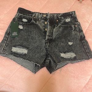 Highest Rise Cutoff Shorts